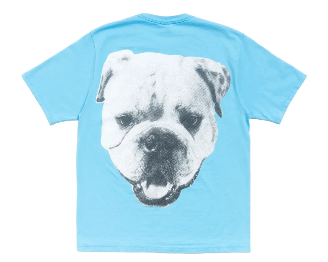 Stussy Big Dog Stone Washed Tee - Sky Blue