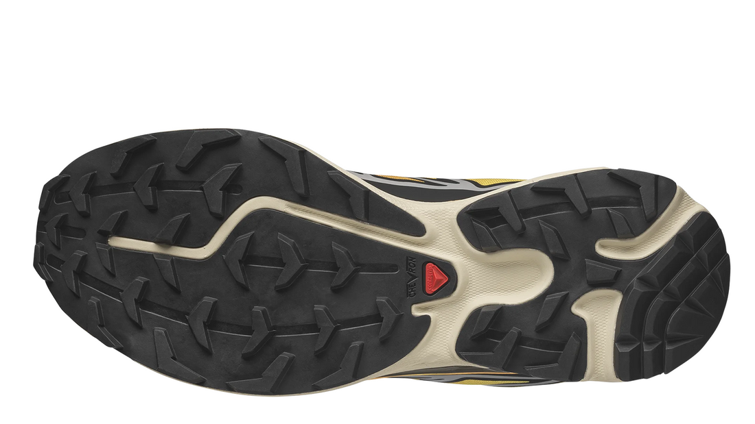 Salomon XT-6 Black Grape Leaf Beach Ball