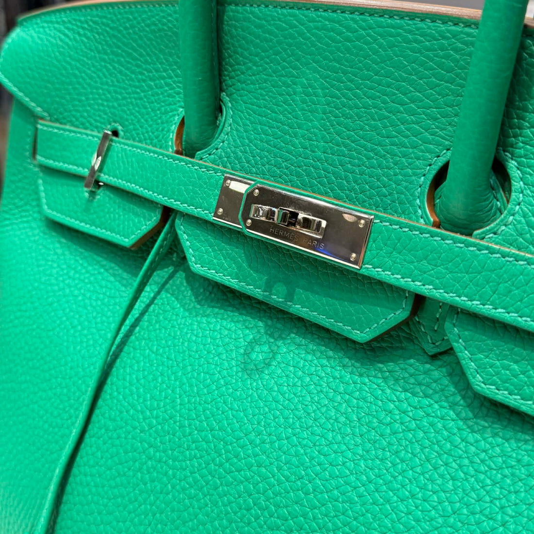 Hermès Taurillon Clemence Birkin 35 Menthe (Pre-owned) 797QGR4