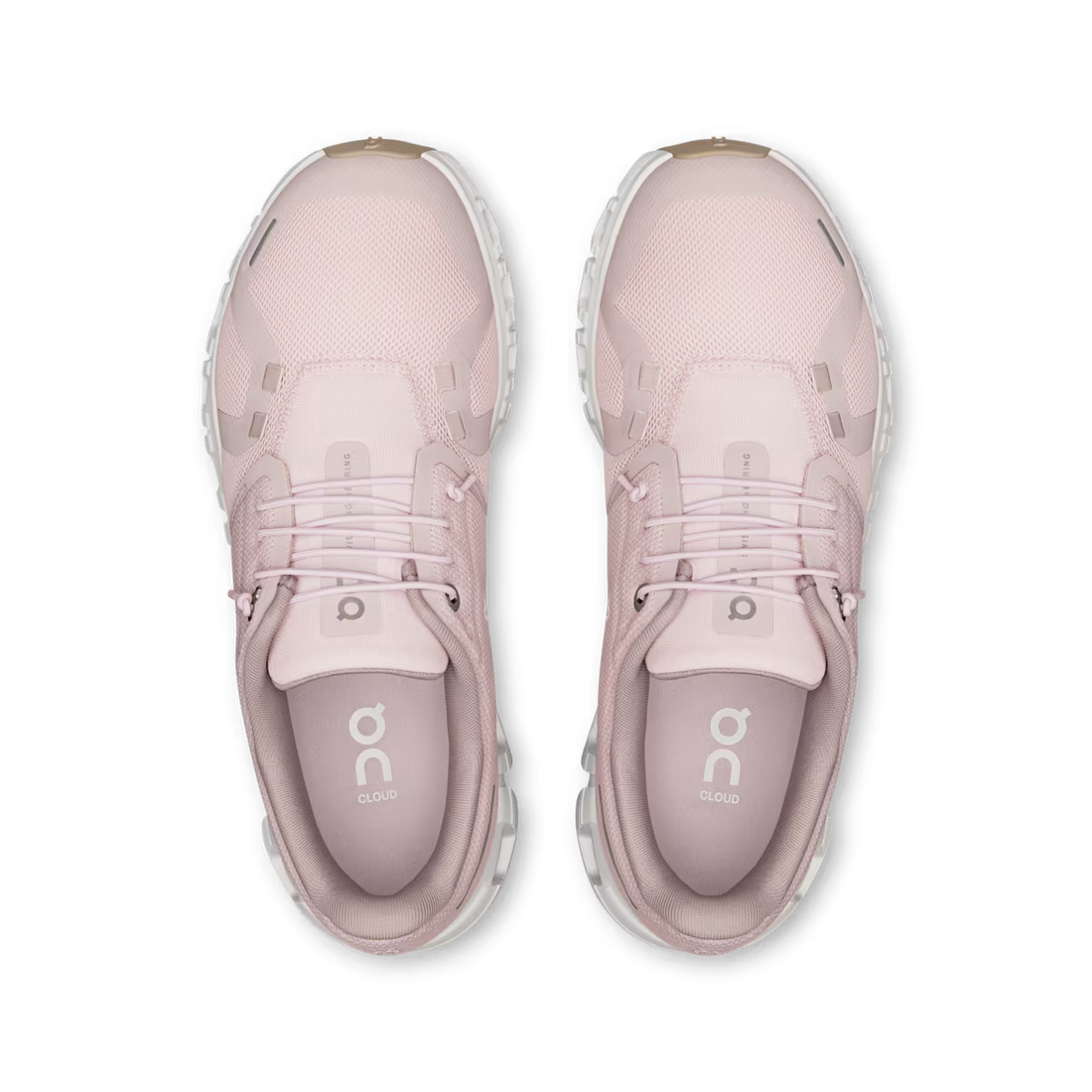 On Running Cloud 6 Orchid Fade (Women's)