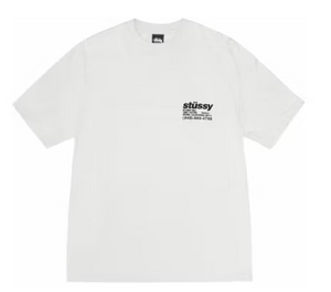 Stussy DNA Pigment Dyed Tee Natural