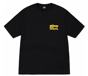 Stussy DNA Pigment Dyed Tee Black