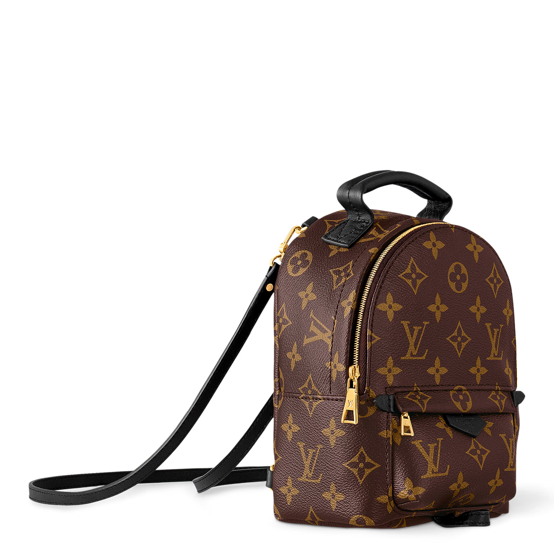 Louis Vuitton Palm Springs Backpack in brown Monogram Canvas