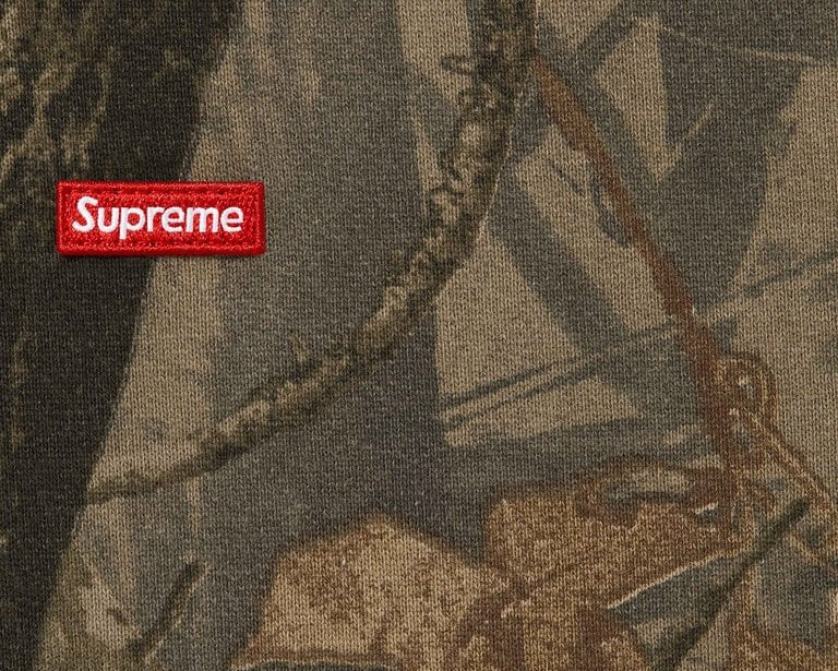 Supreme Small Box Drawcord Hooded Sweatshirt (SS26) Multicolor
