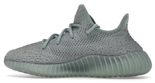 adidas Yeezy Boost 350 V2 Salt 7450212499649