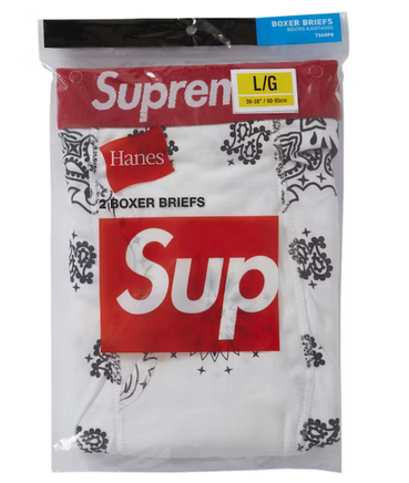Supreme Hanes Bandana Boxer Briefs (2 Pack) White