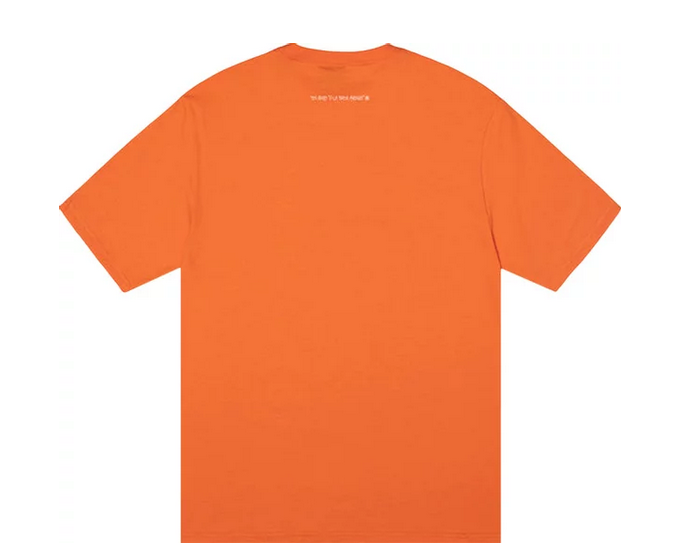 Stussy SS Highway Tee Coral